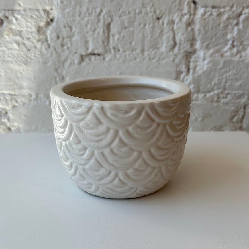 Vintage White Matte Pottery Vase | Modern Vibe